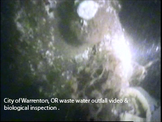 City of Warrenton, OR waste water outfall video & biological inspection