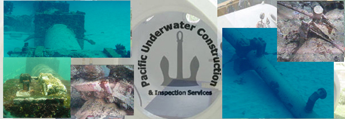 "Inspection and Repair"